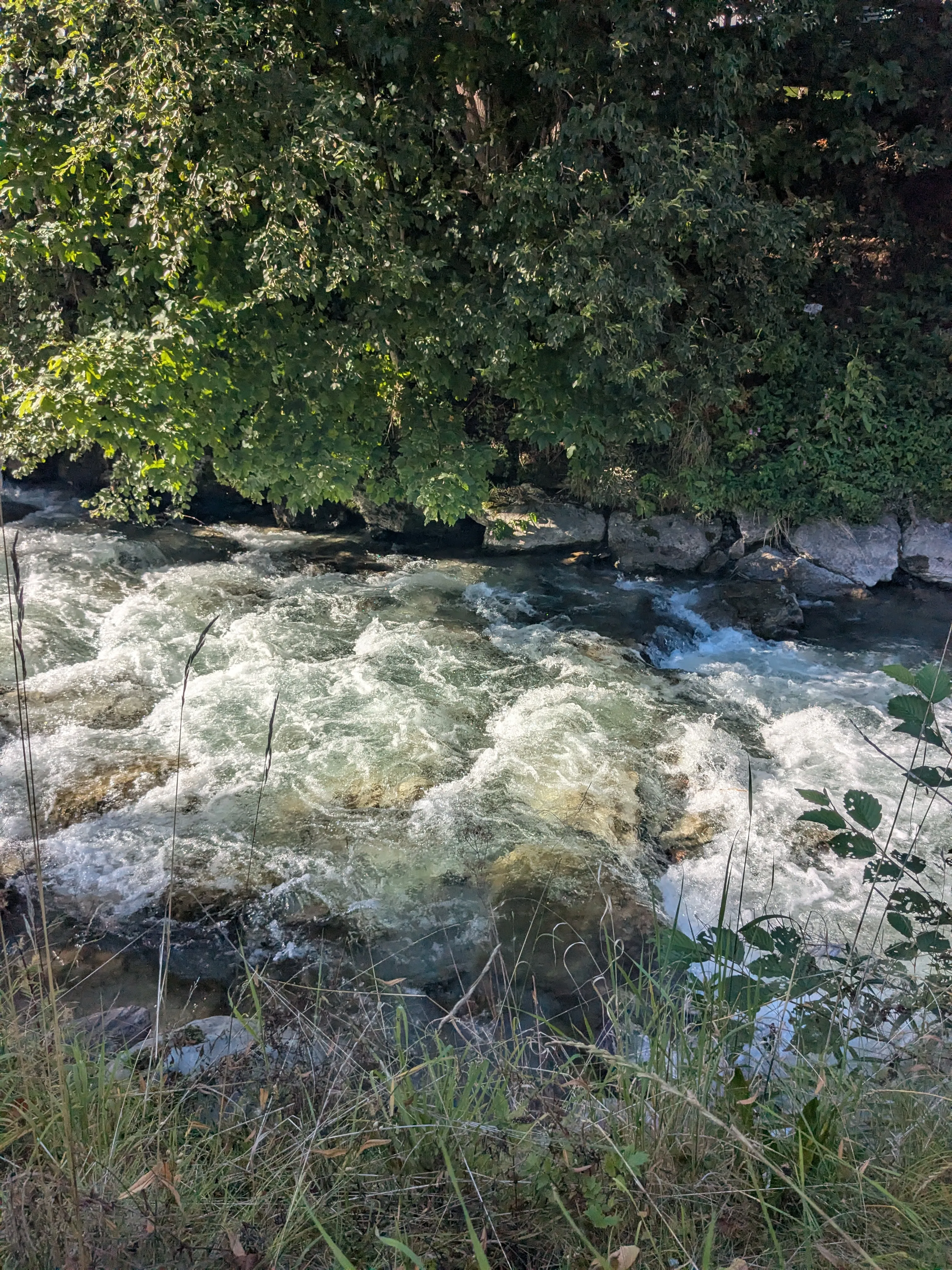 stream